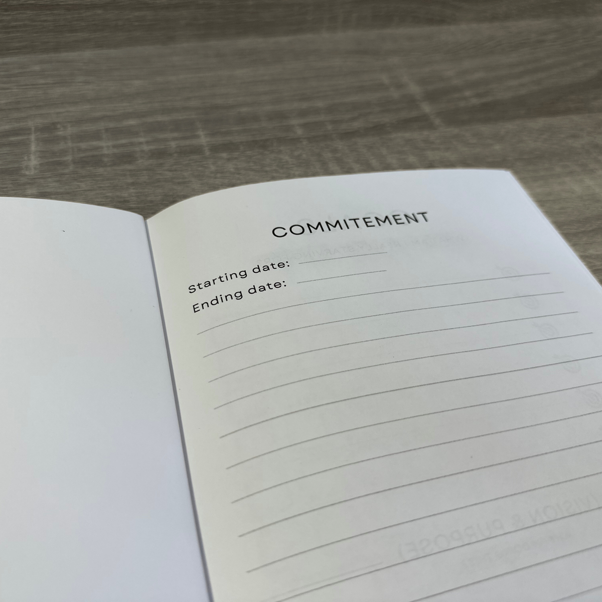 Ghost Mode Planner